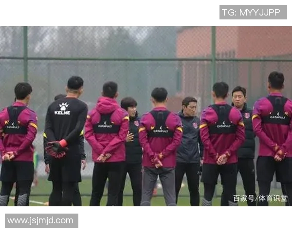 成都网球队灵活性分析与提升策略探讨